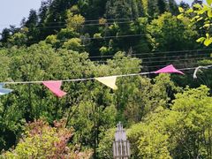 -黑河国家森林公园