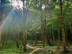 -洛阳白云山景区