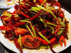 -京悦南门涮羊肉·羊蝎子火锅(田林路店)