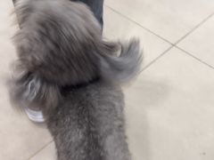 -佳雯宠物医院·皮肤科·内外科(春晓路分院)