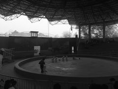 -石家庄市动物园