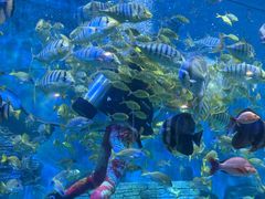 -横店影视城梦幻谷园区