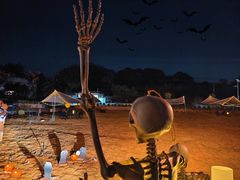 -天适樱花悠乐园