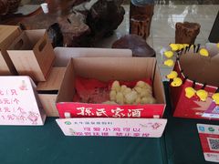 -兴芮温泉度假区