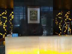 -上海龙之梦万丽酒店