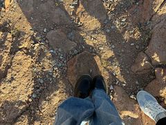 -红山国家森林公园