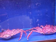 -忆江南·临江鱼馆