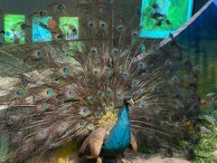 -陕西自然博物馆