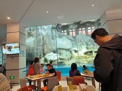 -帝企鹅自助餐厅•儿童岛•真企鹅(长隆企鹅酒店)