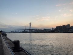 -光明牛奶棚(南泉店)