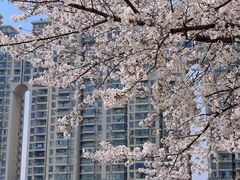 -西北湖绿化广场