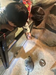 -酷嗒动物文化乐园(cutezoo西溪乐天城店)