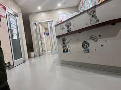 -谐和益家动物医院·免疫绝育·血液透析·宠保定点医院(高新伊藤分院)