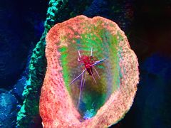 -沈阳海洋探索中心