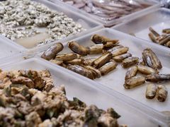 -健眺小海鲜(临海后山店)