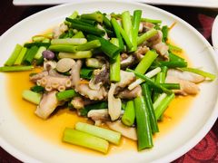 葱拌八带-船歌·鱼水饺青岛菜(闽江二路店)