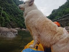 -安吉龙王山峡谷漂流