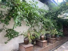 -云里小坐·小院里·团建·宴请·下午茶(三圣乡店)