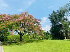 -中国科学院西双版纳热带植物园