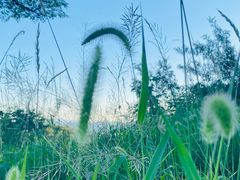 -鬼笑石后山停车场