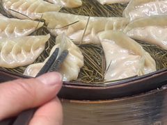 传统蒸饺-松针蔡记蒸饺(花园路店)