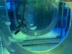 -常州海昌海洋探索馆