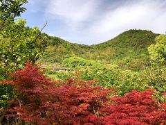 -东海大峡谷