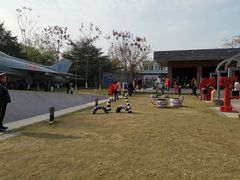 -成飞公园