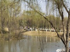 -西安浐灞国家湿地公园