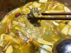-七采菌园·野生菌石锅鱼(环城北路店)