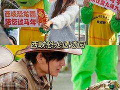 -中国西峡恐龙遗迹园