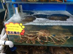 -蚝专家(北滘店)