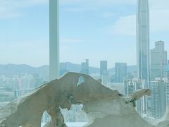 -Jungle Nat 高空餐厅
