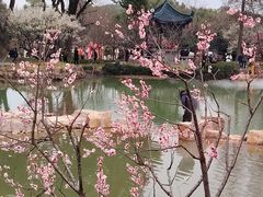 -无锡梅园公园