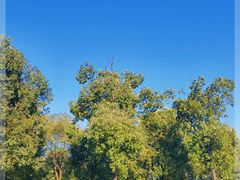 -天鹅湖体育公园