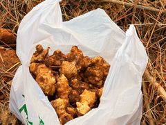 -竹上云想餐厅民宿