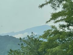 -虹口漂流
