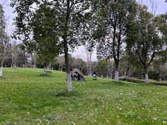 -上海海湾国家森林公园