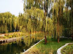 -元大都城垣遗址公园