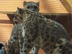 -青藏高原野生动物园
