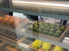 -雾与山茶(大禹城店)