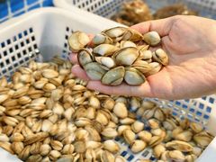 -碧海银沙海鲜餐厅(恒大海上威尼斯店)