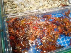 -亚马逊海鲜自助(梅溪湖步步高店)