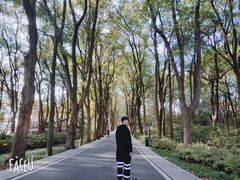 景点-东湖磨山景区