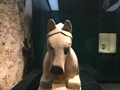 -宁夏博物馆
