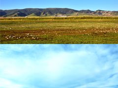 -青海湖国家重点风景名胜区