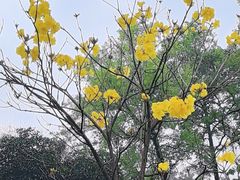 -云溪植物园