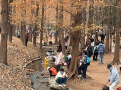 -白水寺森林公园
