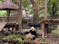 -上海野生动物园