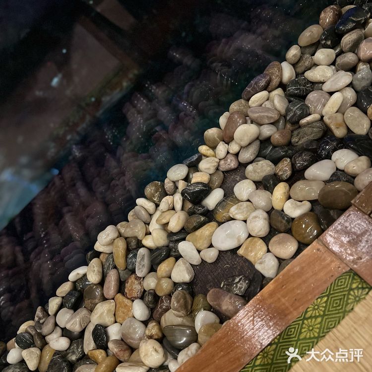 人多聚餐就不要Omakase啦#深圳四葉#日料[吐]